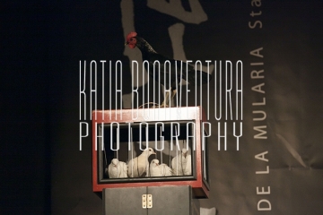 443 - 18.11.2018 Cantafestival della mularia-Sala Pio X-Staranzano