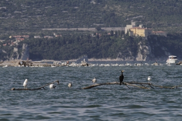 011-katia-bonaventura-photojournalism-isonzo-golfo-duino